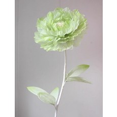 움직이는 꽃조명 무빙 개폐 복합지 꽃피는 집들이선물, 그라데이션그린 50cm