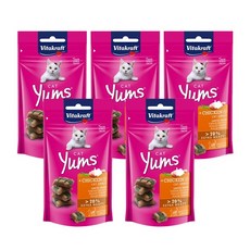고양이 캣얌 치킨 캣그라스 40g 9P 헤어볼방지 간식 _ 20259877EA, 혼합맛(닭/캣그라스), 5개