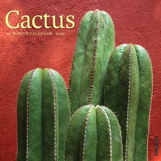 (영문도서)Cactus 2026 12 X 12 Wall Calendar Spiral, Willow Creek Press Calendars, English, 9781549250477