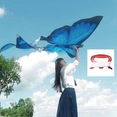 대형 연날리기 촬영용 소품 감성 연만들기 나비연 사진촬영용 대형연, A. 블루 나비연+100m 라인