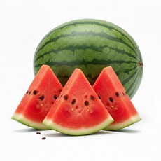 정품 하우스 겨울수박 Brix12 이상, 1개, 꿀당도 정품 하우스 겨울수박 4-5kg 내외