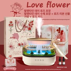미니 가습 아로마 분무기 거실 침실 대용량 조용한 사무실, 미니 로즈 선물 포장 + 로즈 버터플라이 2개, 기본 모델명/품번