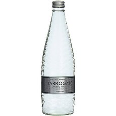 해러게이트 프리미엄 탄산수, 2개, 750ml