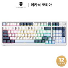 Machenike 메카닉 KG98 기계식 키보드 RGB 97키 핫스왑 무선 게이밍 키보드, 은축, 파란색