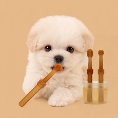 강아지칫솔 디어펫 반려동물 칫솔+혀클리너 세트 휴대용케이스 고양이칫솔