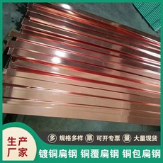 【安裝易】銅覆扁鋼 銅包鋼扁鋼 鍍銅扁鐵 銅包鋼扁線, 1個, 30*3（一根六米價格）包郵