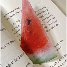 북마크 과일 책갈피 반투명 북클립, 3개, 수박