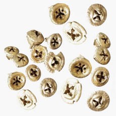 金色尤加利果 手作乾燥花材, 金色尤加利果x1顆, 1個