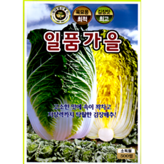 KS종묘 일품가을 배추씨앗 500립 속이 꽉 차고 고소한 맛 김장용 강력 추천 KS, 1개