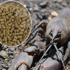 나특몰 갑각류용 사료 랍스터먹이