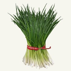 깐쪽파 실파 쪽파한단 1kg, 1단