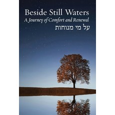 Beside Still Waters: A Journey of Comfort and Renewal Paperback, Ben Yehuda Press, English, 9781934730010