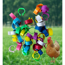 병아리 반지 라벨 가금류 다리 밴드 버클 벨트 인식표 넘버링 번호표 (N1619), 혼합