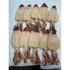 한치특대 반건조한치 건한치 부드러운 업소용 25미 900g, 1개