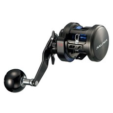 DAIWA SALTIGA BJ 200H 捲線器 右手捲 200H 日本製, 1個