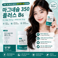 긴장된 근육 이완 예민 짜증 신경 미네랄 마그네슘, 1개, 90정