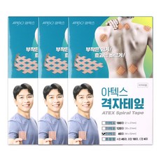 해호 아텍스 격자테이프 C타입, 3개, 40개입