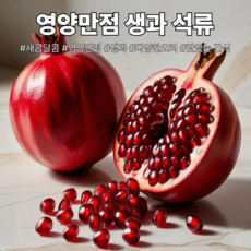 [다정한과일] 영양만접 생과 석류, 1박스, 2kg