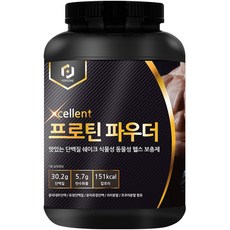 당제로 무당 맛있는 단백질보충제 프로틴 쉐이크 초코맛 WPI WPC 혼합, 1개, 1kg
