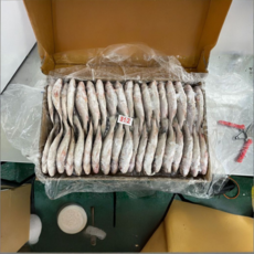 대길푸드 민어조기 10kg, 1박스, 10kg 80미 내외