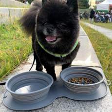 강아지 밥그릇 물그릇 야외 휴대용 캠핑 애견 용품