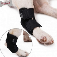 충격방지 무릎 깁스 탈골 보호장비 강아지슬개골보호대 쓸개골 ZWE38F36, L, 1개, L