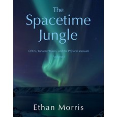 (영문도서) The Spacetime Jungle: Volume 1: UFO's Torsion Physics and the Physical Vacuum Paperback, Independently Published, English, 9798397100472