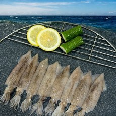 [조업직송] 제철 통찜 한치 500g 11~18미 식감좋은 한입 통찜용 자연산 냉동, 1개, 500g 1팩