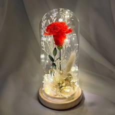 프리저브드 인테리어 카 은은한 라이팅 실내장식 작은 이션 소형 빨강, 색상, 1개