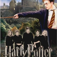 해리포터 클래식 영화 호그와트 페인팅 크로스 아트 퍼즐 모자이크 자수 홈 데코 신상품, 1개, 12. 12