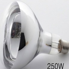 닭장보온 보온전구 적외선전구 병아리키우기 병아리집, 일광적외선열전구250W, 1개