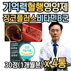 식약처인증 기억력 혈행개선 은행잎 플라보놀배당체 티아민 비타민b6 판토텐산 영양제 시니어 남자 여성 추천 혈행 은행잎추출물 징코 빌로바 뉴일리, 2개, 30g