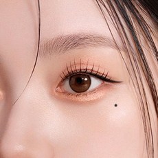 덕덕 미인점 타투 스티커 헤나