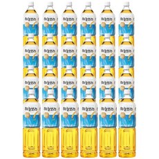 웅진 탕비실 식후음료 하늘보리 나들이 소풍 디저트 1.5l 24개, 1세트