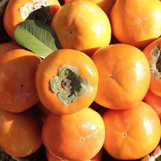 당도선별 진영단감 아삭 달콤한 꿀단감, 1개, 5kg (중대과 24-26과)