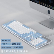 무음 키보드 유선 데스크탑 컴퓨터 노트북 무선 타이핑 마우스 세트 초저소음, 1. 파랑 흰색 조명-키보드 2중 키캡