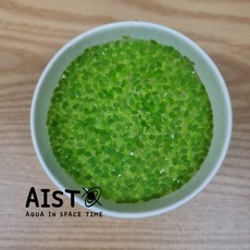 개구리밥(부평초) 부상수초 종이컵(표면) 1컵 분량 / 금붕어 비단잉어 거북이 토종우렁이 토종다슬기 특식 간식, 1세트