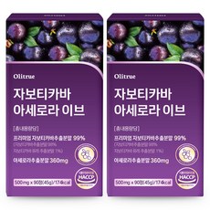 자보티카바 아세로라 고함량 HACCP인증, 2개, 90정