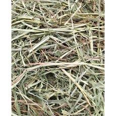 新草到 塊裝牧草10公斤裝 提摩西一割 二割 三割 果園 苜蓿 燕麥, 1個, 9/9到港 提摩西二割 梗葉各半