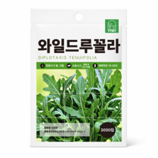 [주주씨앗] 와일드 루꼴라 씨앗 3000립 / 이태리 인기채소 로켓샐러드 향채소 씨앗, 1개