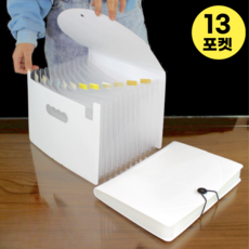 데이모노 프로 아코디언 도큐먼트 파일, 커버형, 13포켓, 화이트+반투명, 1개