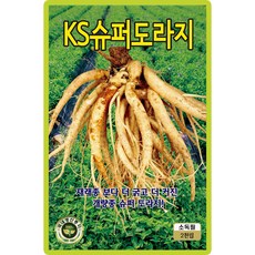 산들마켓 슈퍼도라지 씨앗 2000립 재래종 보다 굵고 더 커진 개량종 보라 꽃 슈퍼도라지 국내산 품종 종자, 1개