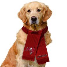 Littlearth NFL 시카고 베어스 애완동물 스카프 - 공식 라이선스 팀 사이즈: 스몰 436794, 탬파 베이 버케이니어