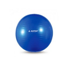 짐볼 55cm 펌프 블루 공 볼 요가 용품 필라테스 킨볼+노드커머스Shop, 빠른배송