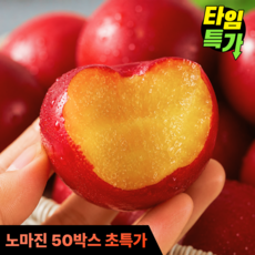 [당도선별] 과즙팡팡 제철 햇 자두, 1개, 1kg