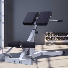 기립근 운동기구 백익스텐션 하이퍼 백 익스텐션 체어, 로마 의자 검정색