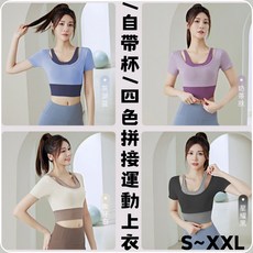 BELLA 台灣現貨秒出 自帶杯墊四色運動上衣S XXL拼色運動內衣短袖運動上衣健身背心美背運動內衣健身長褲集中瑜珈內衣