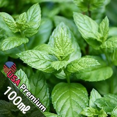 A009 페퍼민트 100ml (Peppermint) 프래그런스오일 캔들 디퓨저 향수, 1개
