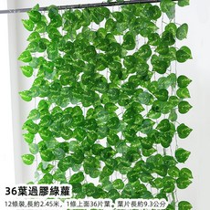 優選樂購 仿真藤條 綠蘿葉裝飾 綠藤藤蔓 假樹葉 塑膠花藤 水管道遮擋 空調遮擋 仿真綠葉花, 36葉過膠綠蘿葉12條, 1個