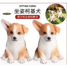 坐姿柯基犬 逼真外形, 1套